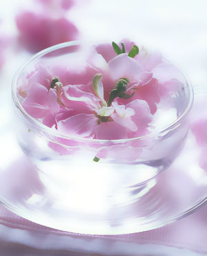 ����DIY�ʻ���Ĥ �������ս�������ɫ